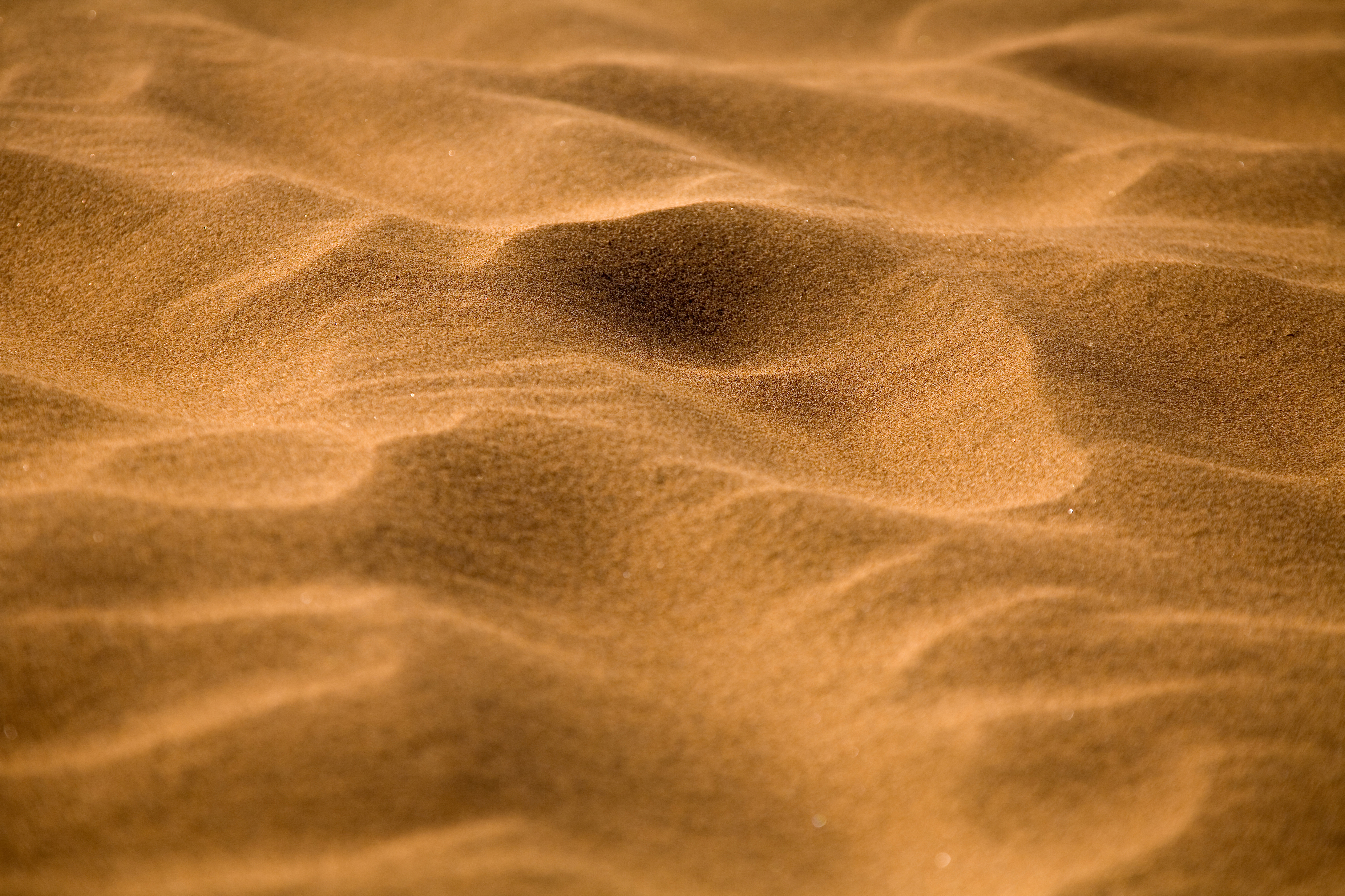 Desert Sand